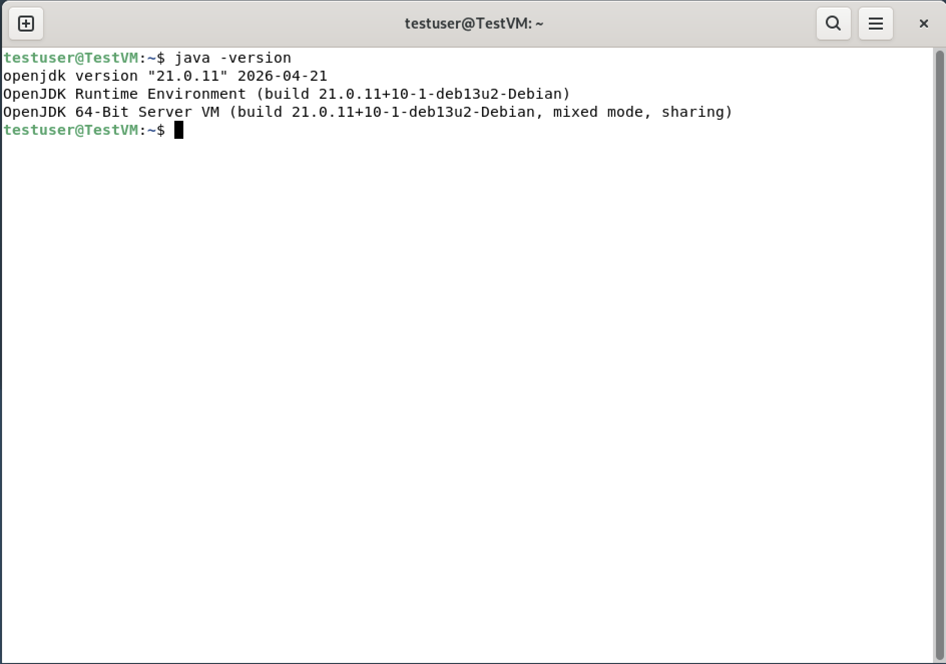 java -version in terminal